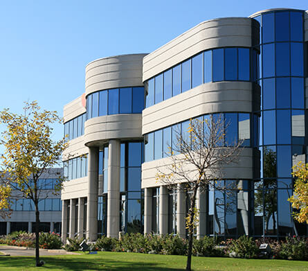 Rectangle 16